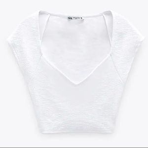 Never Worn- White Zara Cropped Top